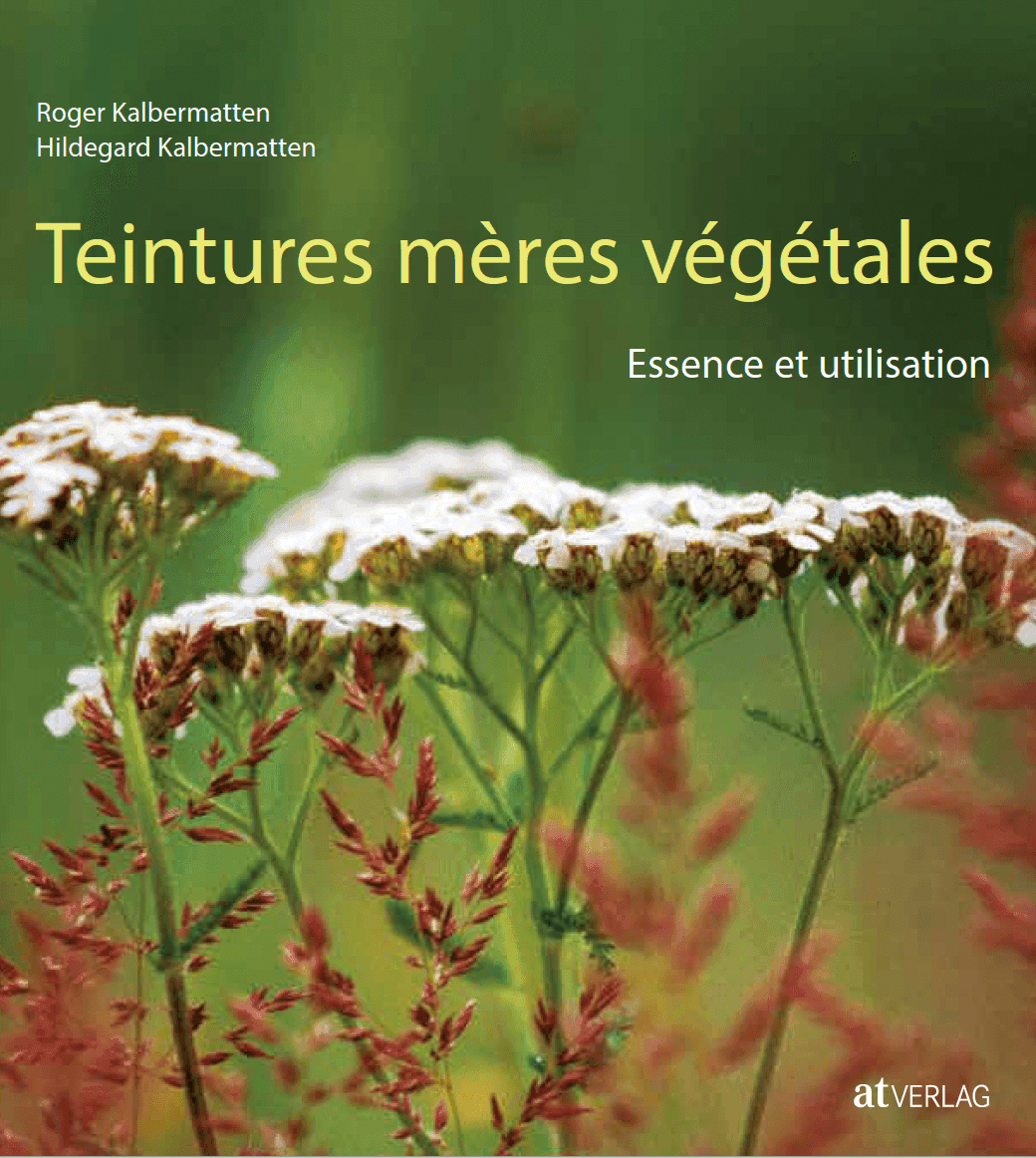 Teintures mères végétales — essence et usage